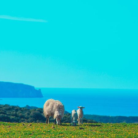 Agriturismo Il Ginepro Fluminimaggiore Kültér fotó