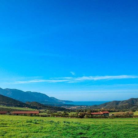 Agriturismo Il Ginepro Fluminimaggiore Kültér fotó