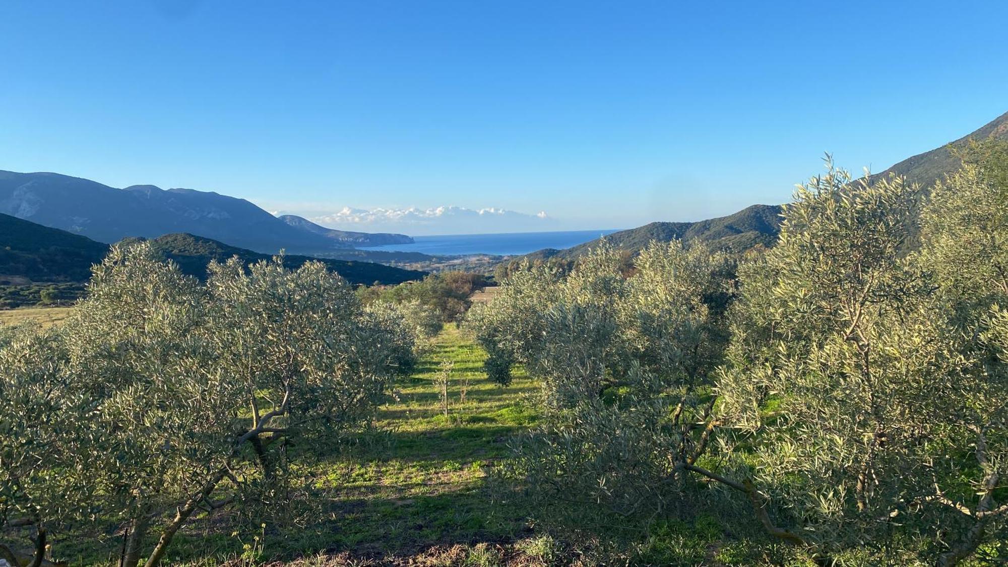 Agriturismo Il Ginepro Fluminimaggiore Kültér fotó