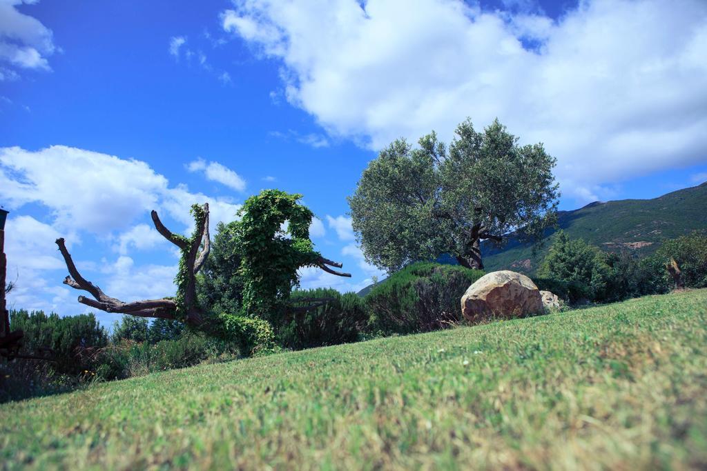 Agriturismo Il Ginepro Fluminimaggiore Kültér fotó