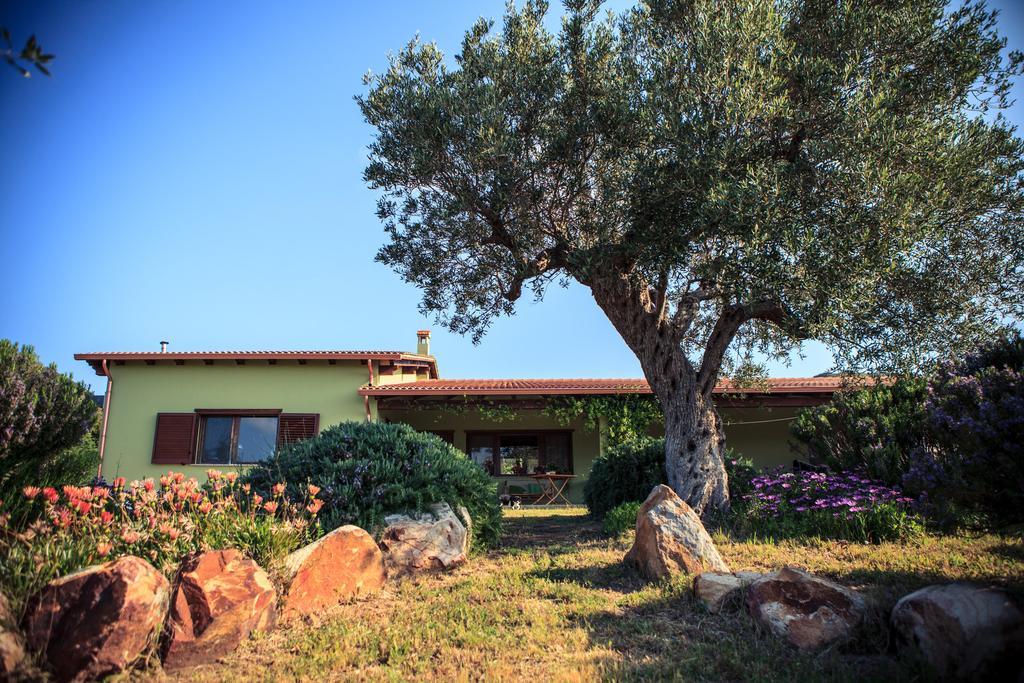 Agriturismo Il Ginepro Fluminimaggiore Kültér fotó