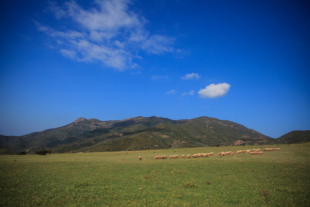 Agriturismo Il Ginepro Fluminimaggiore Kültér fotó
