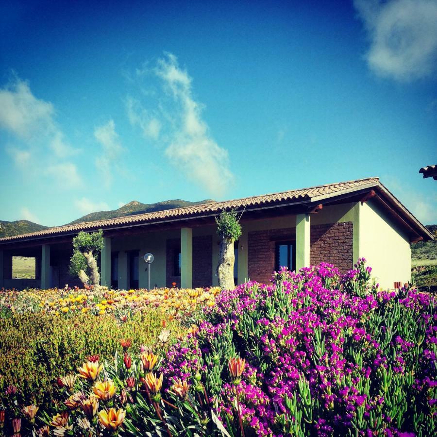 Agriturismo Il Ginepro Fluminimaggiore Kültér fotó