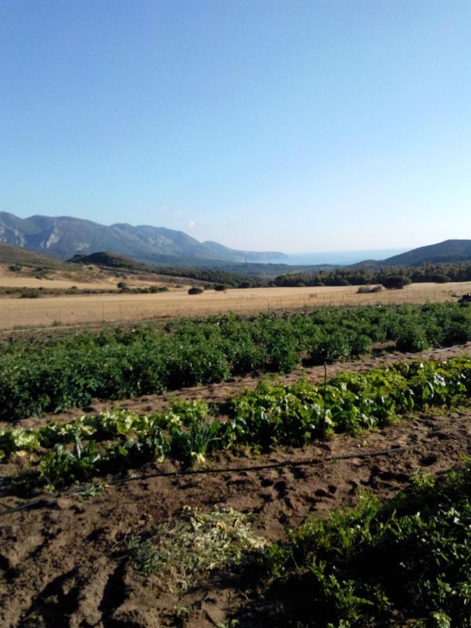 Agriturismo Il Ginepro Fluminimaggiore Kültér fotó